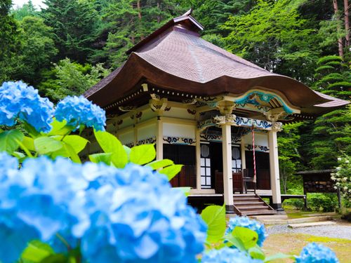名所の清水寺