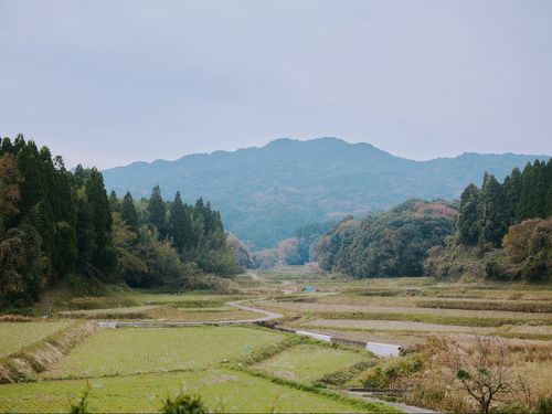 四ツ原地区（南関町）