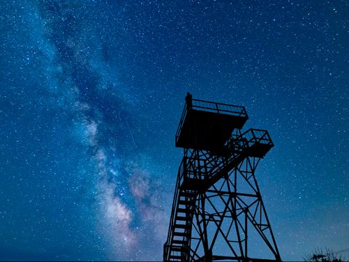 夜の牧草地の中は真っ暗。周りに高いたてものもないので、こんなに綺麗に星が見れるんです。