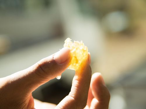 日本ミツバチのはちみつ