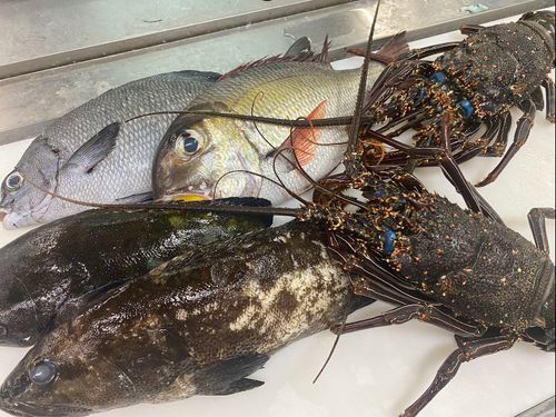 島で採れた新鮮な海の幸