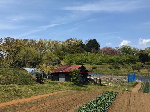 懐かしい里山の風景