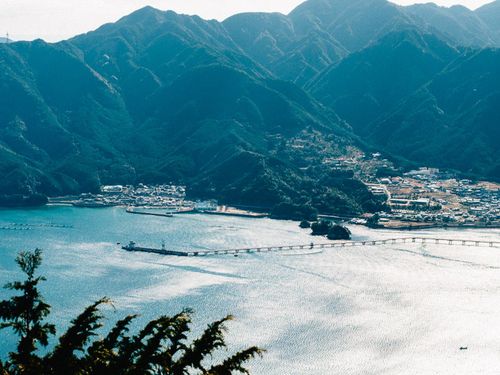 リアス海岸にある尾鷲市の町並み。ずっと眺めていたくなる美しい景観