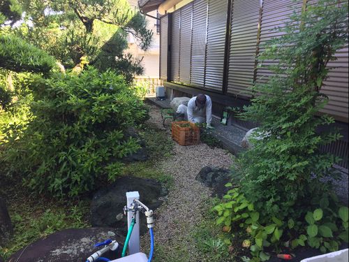 空き家の管理