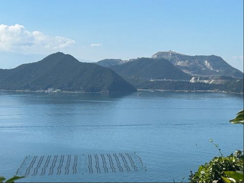 設置されたノリ網（奥は頂上石【コウナイの石】がある西島）。