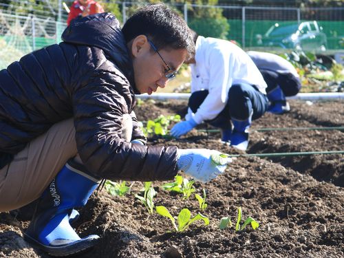 下北山村のシェア畑で下北春まなの定植体験