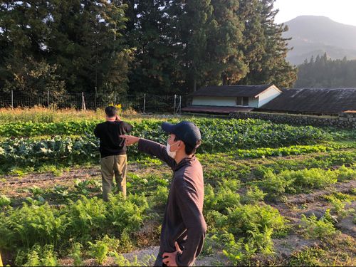 ツアーの時期は冬野菜の収穫ができるかな？