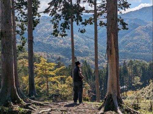 人より森が圧倒的に多い村