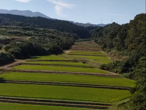 南砺市立野原の田園風景