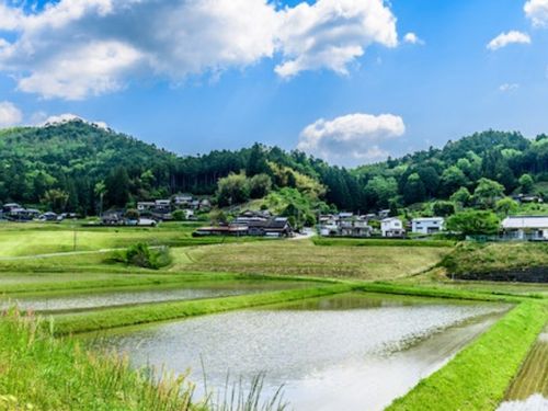 田園風景