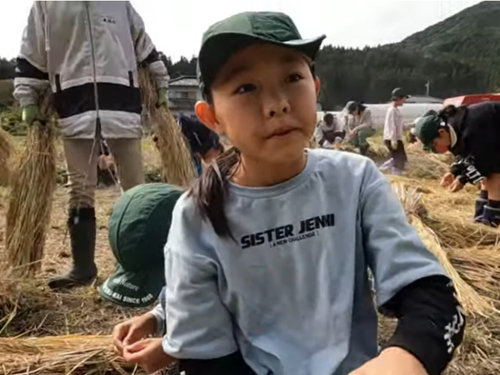 収穫の様子１