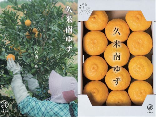 久米南ゆず紹介チラシ