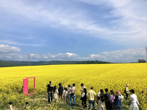 たきかわ菜の花まつりなどのイベント企画運営