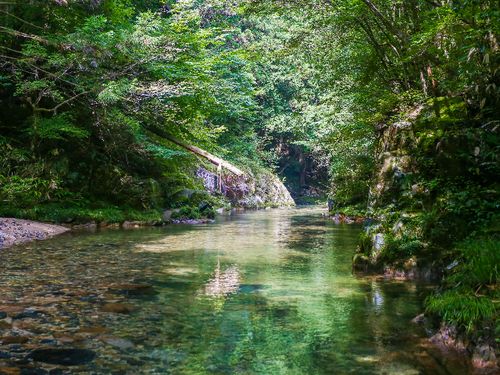 シャワークライミングを実施する水内川。鮎の美味しさも全国指折り
