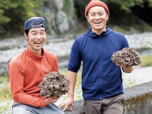 村で採れる美味しいきのこ
