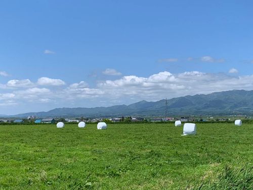 夏の奈井江町