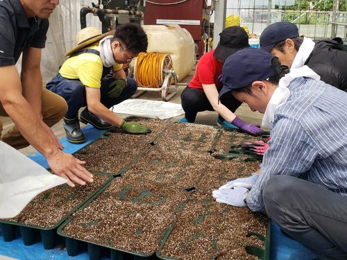 夏頃ご参加された参加者の様子。一生懸命作業してくれました！