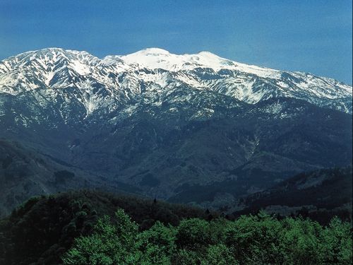 白山市は広く、山側（白山ろく）、市街地中心部（松任）、海側（美川）の３エリアに分かれています。