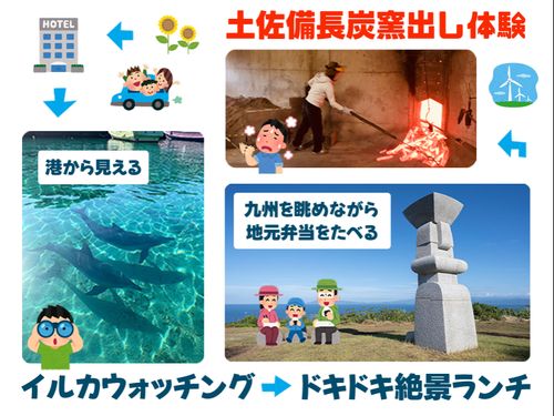なんと！徒歩で港まで行くと親子イルカに会える！（ほぼ毎日）！