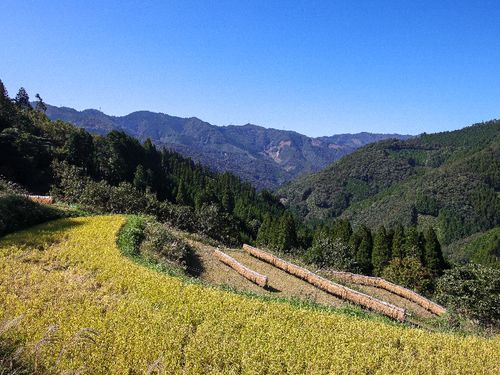 山々に囲まれた田んぼ