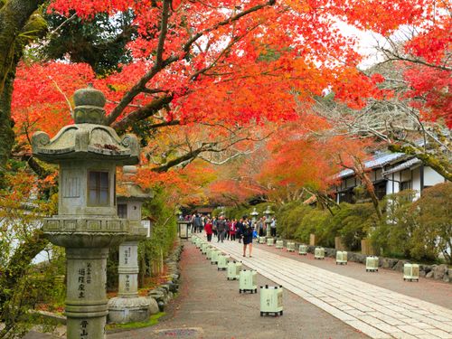 石山寺参道