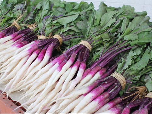 日野菜