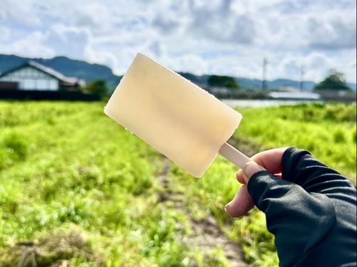 暑い畑で食べた、人生でいちばんおいしかったガリガリ君。