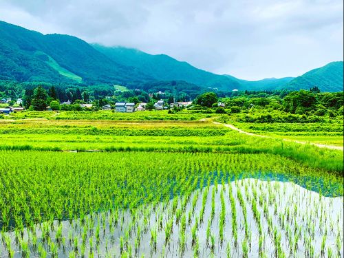 豊かな里山もあります