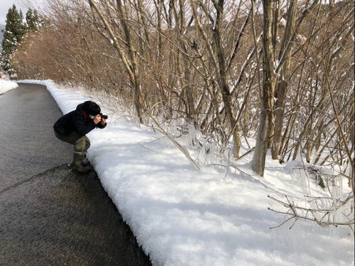 ヨソモノ視点でゆざまちを切り取り、発信します。雪の景色は寒いけど最高！
