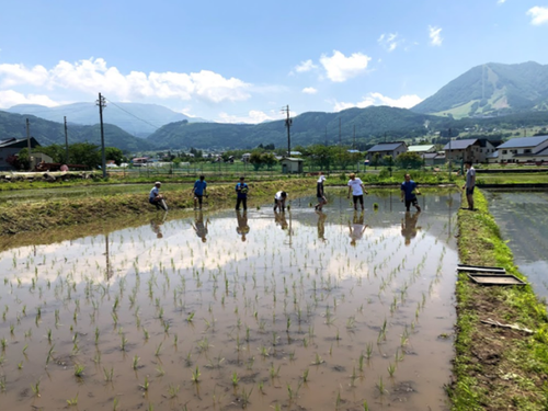 田植えも田舎のアクティビティ