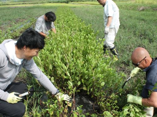 地域の生産者さんと一緒に農作業を行うこともあります。