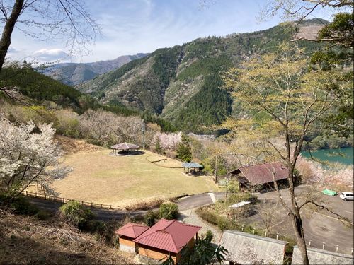 テントサイトとコテージは山の斜面の上下に分かれてます