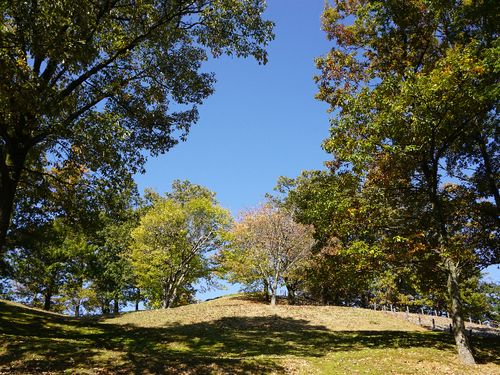 子育てファミリーには、市内の遊べる公園をご紹介！