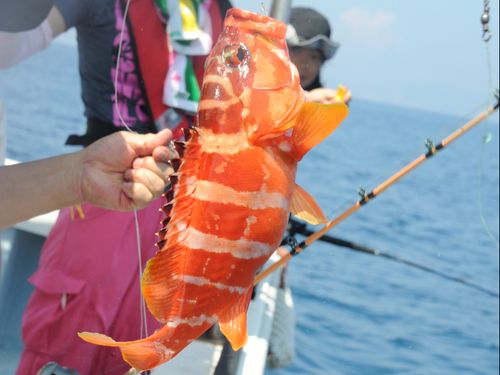漁船で釣りなど島ならではの体験も