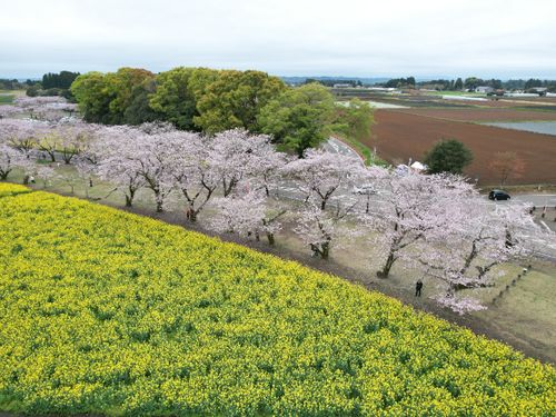 古墳群や神話といった歴史や文化、豊かな自然が感じられるまちです。