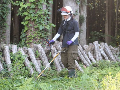 東京に住んでた時から憧れた林業で実際に活躍する職員！