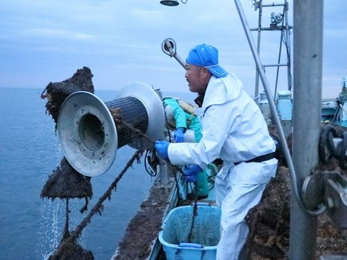 地域おこし協力隊の嶽間沢（がくまざわ）さん