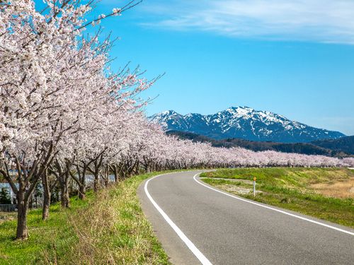 あなたの視点で地域の魅力を発信してください！