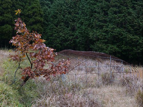 今後田舎で激増する耕作放棄地を舞台に養鶏事業に取り組む