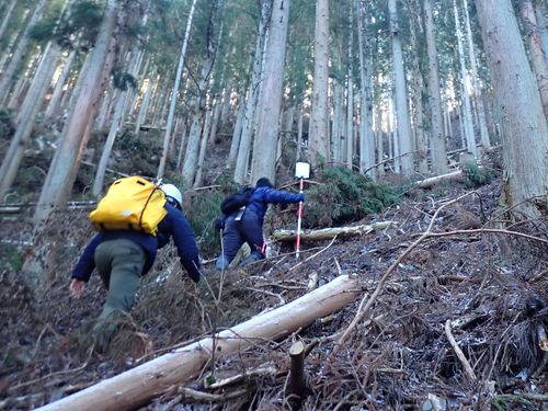 森林調査（道なき山を歩く歩く歩く）