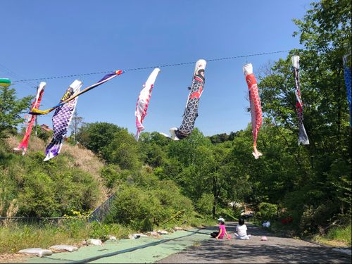 青い鳥の谷を泳ぐ鯉のぼり