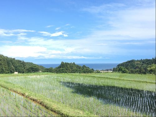 海と田んぼが一面に広がり、見渡すことができる能登半島
