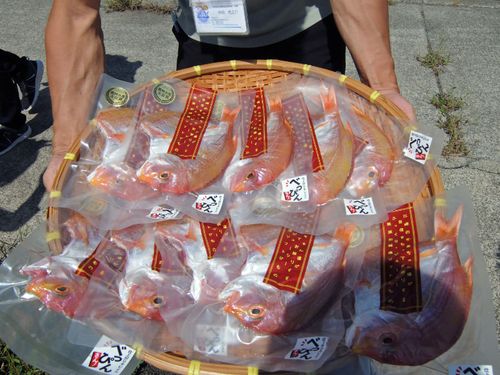 無添加減塩のレンコ鯛の干物