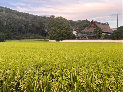 茅葺屋根の性海寺（押部谷町）