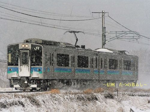今年は雪が少ないです