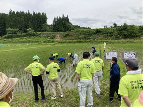 地元農家さんとの「奥阿賀酒米研究会」中干し研修会の様子
