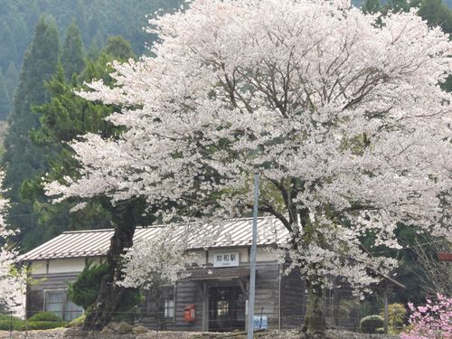 知和駅