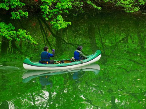 深い緑の中のカヌーは格別　写真：瀬川強