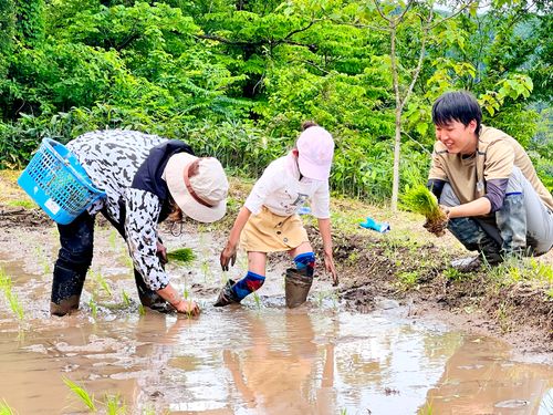 親子向け田植え体験イベントの様子
