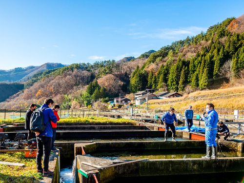 山に囲まれた養魚場